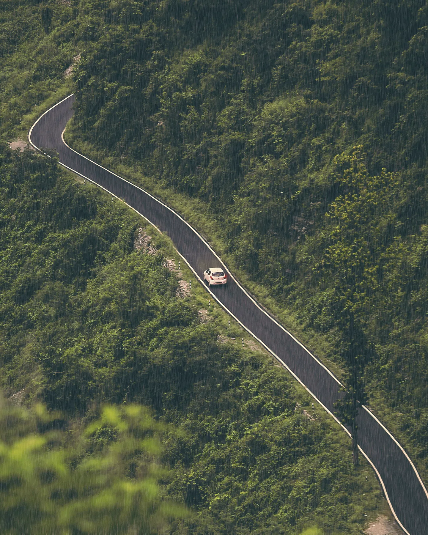 Representative winding road through green hills in India